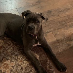 Meet your Posher, Stacey